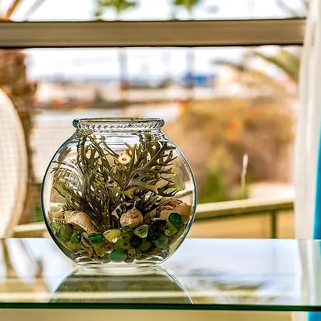 Apartmán Los Cristianos 2 Bedrooms